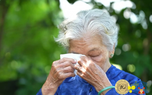 HOÀN TẤT HỒ SƠ ĐỀ NGHỊ CÔNG NHẬN BÀ NGUYỄN THỊ LỆ LÀ VỢ LIỆT SĨ HUỲNH VĂN QUÊN SAU 58 NĂM CHỜ ĐỢI